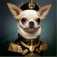 Admiral Chihuahua