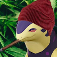 XINAROK