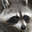 Group Avatar