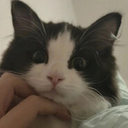 quyl