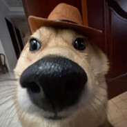 Cunhaz7