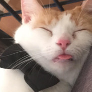 GigglesOD