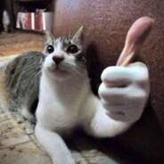 Zoink