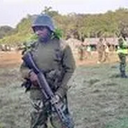 Congolease Arm Dealer