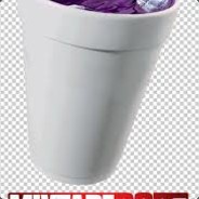 felipoti