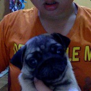 PIAO XI!