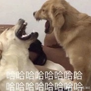 找个漂亮的树挂我谢谢