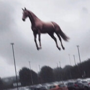 hyperdild0