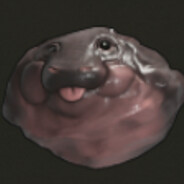 hippo