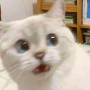 Hexo