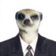 Gus'
