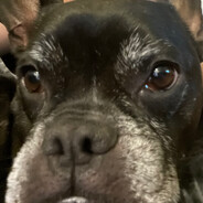 Mocha