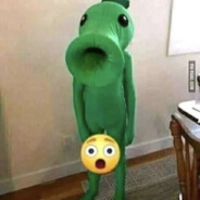 Original Anal