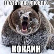 тухлодыр