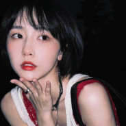 犬来八荒w