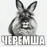 Черемша