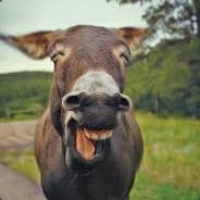 Asshaker