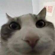 haqux1337