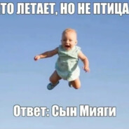 Сын мияги