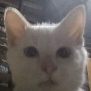 Коцака