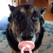 Аватар сообщества Steam