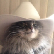 CatOfJupit3r
