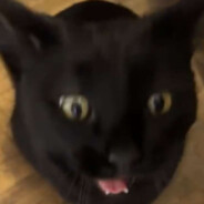 MrBootyBumper