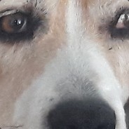 Naxorio