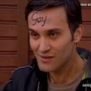 ULVİ