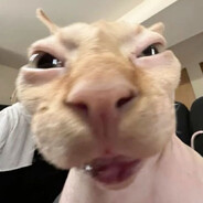 kitshuunki