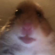 Adam