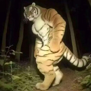 найн майс