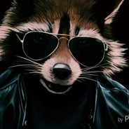 Енот