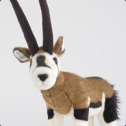 Steam profile picture for @pydo
