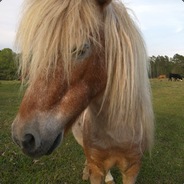 la_archie