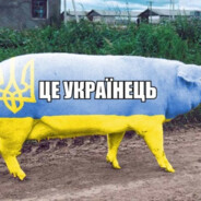 Українська бімба