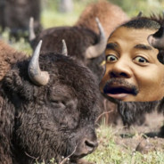 Neil deGrasse Bison