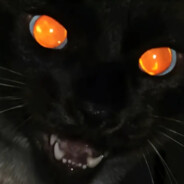 kk