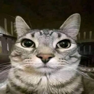 ᴀʀᴋᴀsʜᴀ