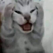 songa