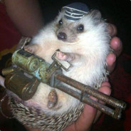 йожик