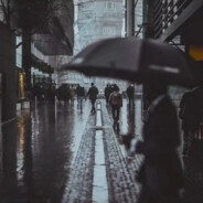 XinYi