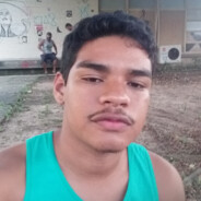 ViniciusP
