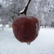 ThePoisonedApple