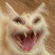 HUP