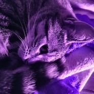 ♫►ĐĺȚŬǺ_Ş_ĦδĦ◄♫