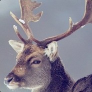  [ Steam Profile ] 