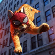 SPIDER-CAT88