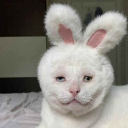 Аватар сообщества Steam