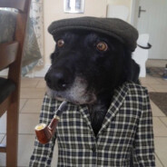 виктор дудкин